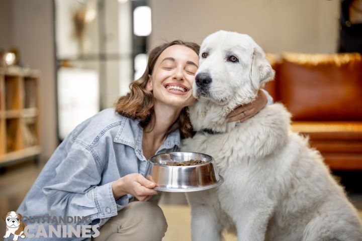 Decoding Your Pet’s Needs
