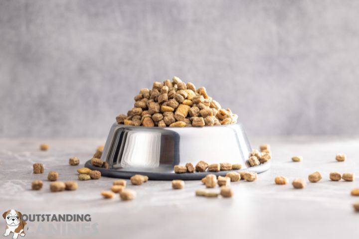 Dry Dog Food