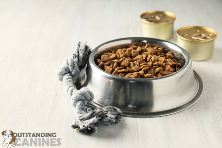 Science Underlying Dog Dry Food