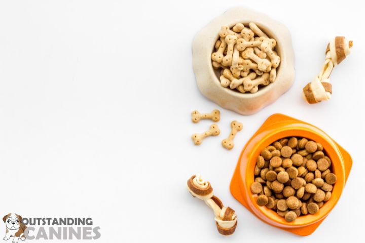 _The Practical Side of Dry Dog Food