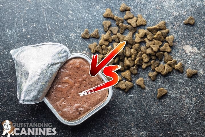Wet vs. Dry Dog Food