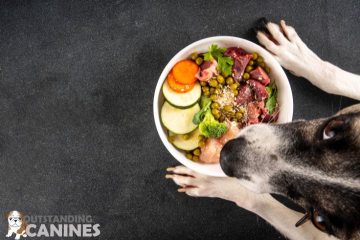 Balanced Dog Food