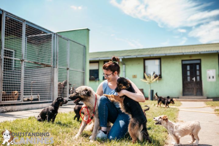 Decide on the Type of Dog You Want to Adopt