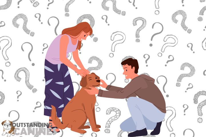 Key Questions to Ask Before Adopting a Puppy