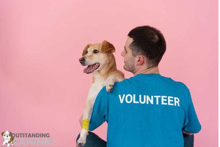 Meeting of Adoption Criteria