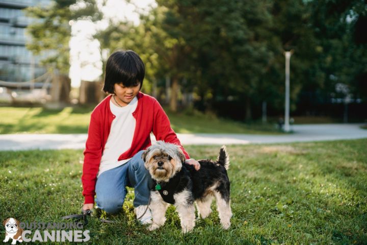 Spending Time with the Dog