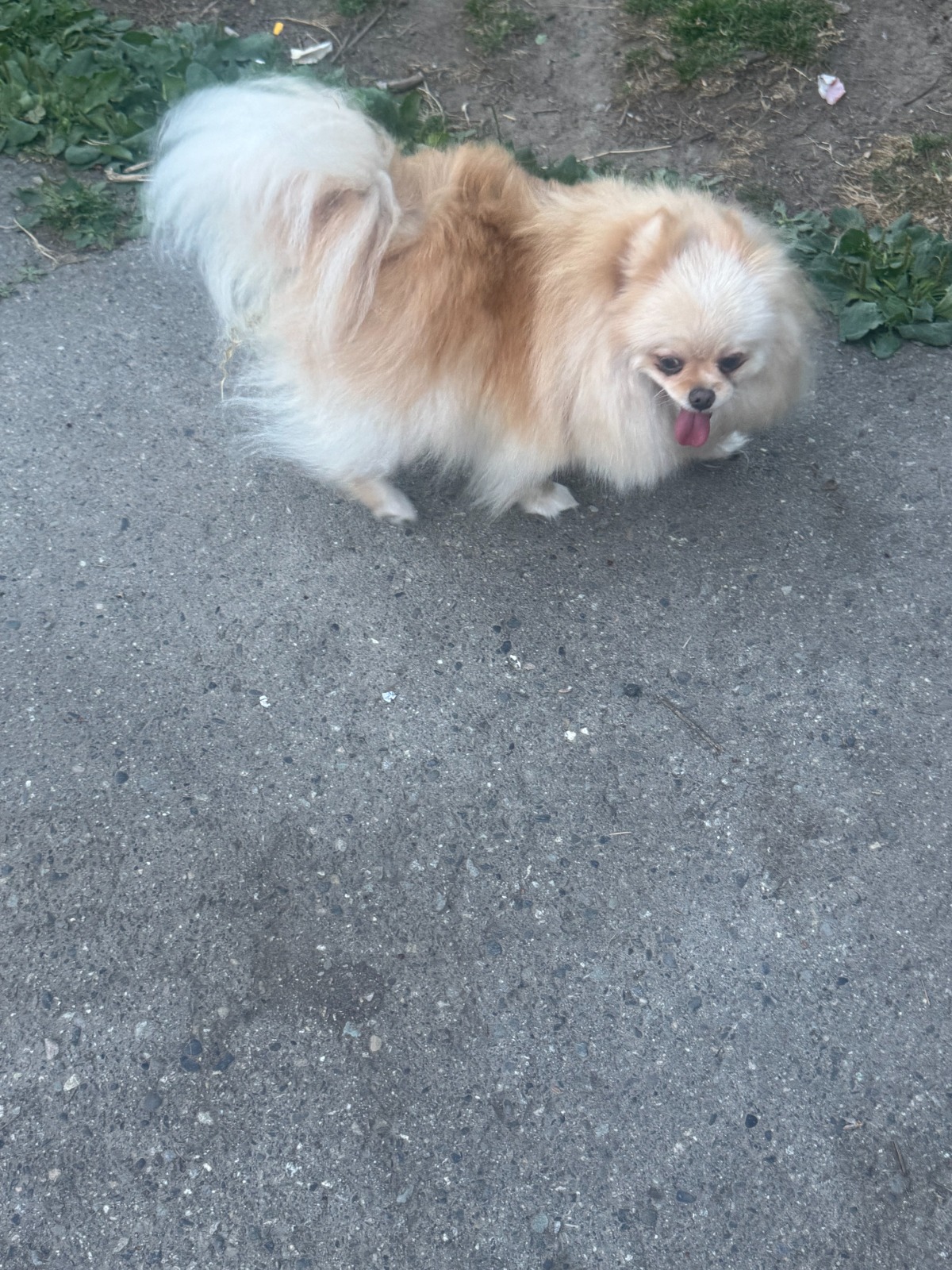 WhatsApp Image 2026-07-24 at 10.07.55 AM (2)