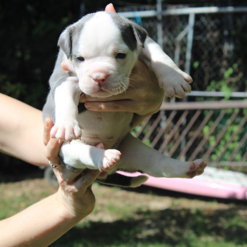 photo_1_2026-07-05_10-38-15